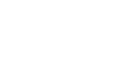 Investor 1