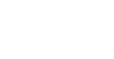 Investor 1