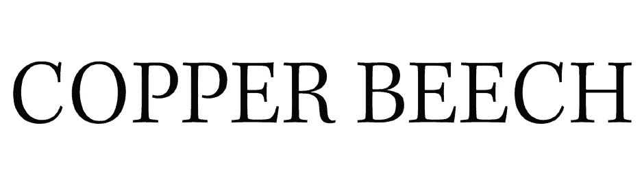 Partner 1